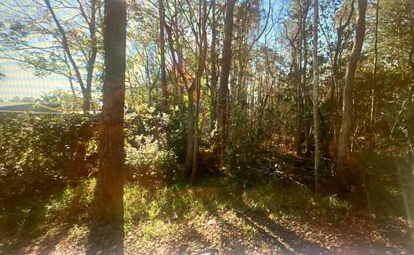 0.43 Acres of Residential Land for Sale in St. Augustine, Florida