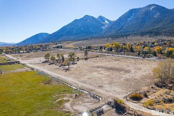 25.58 Acres of Land for Sale in Gardnerville, Nevada