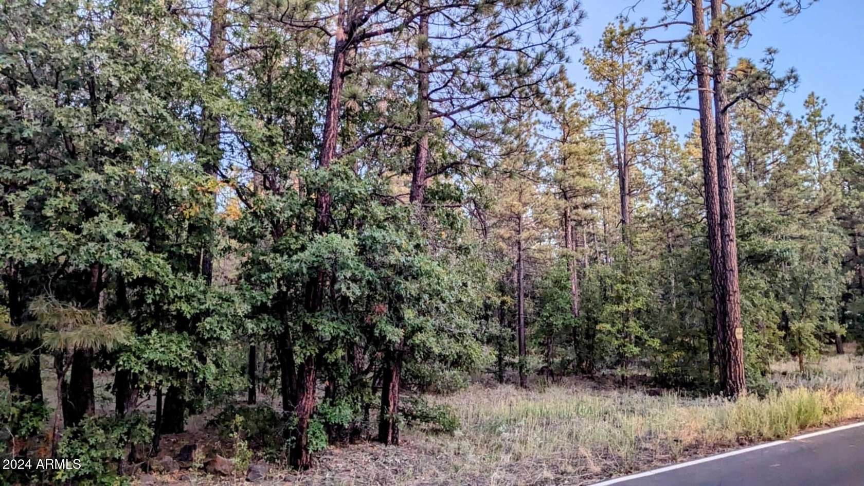 0.8 Acres of Residential Land for Sale in Pinetop, Arizona