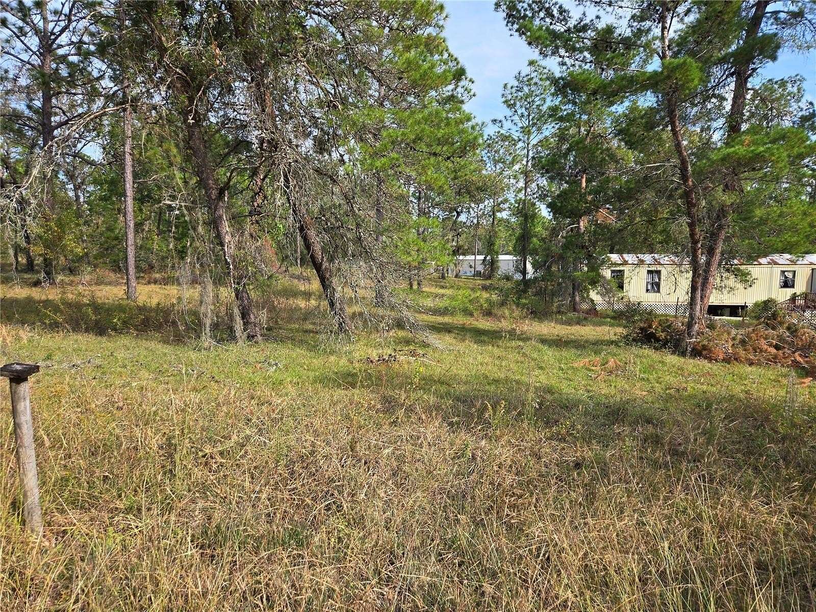 1 Acre of Residential Land for Sale in Williston, Florida