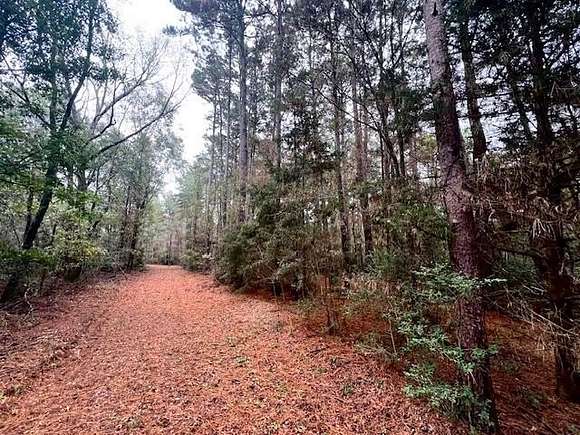 4.27 Acres of Residential Land for Sale in Nacogdoches, Texas