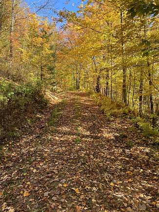 45 Acres of Recreational Land for Sale in Barton, Vermont