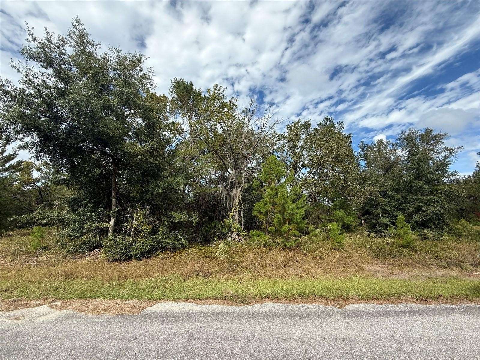 0.23 Acres of Residential Land for Sale in Ocklawaha, Florida