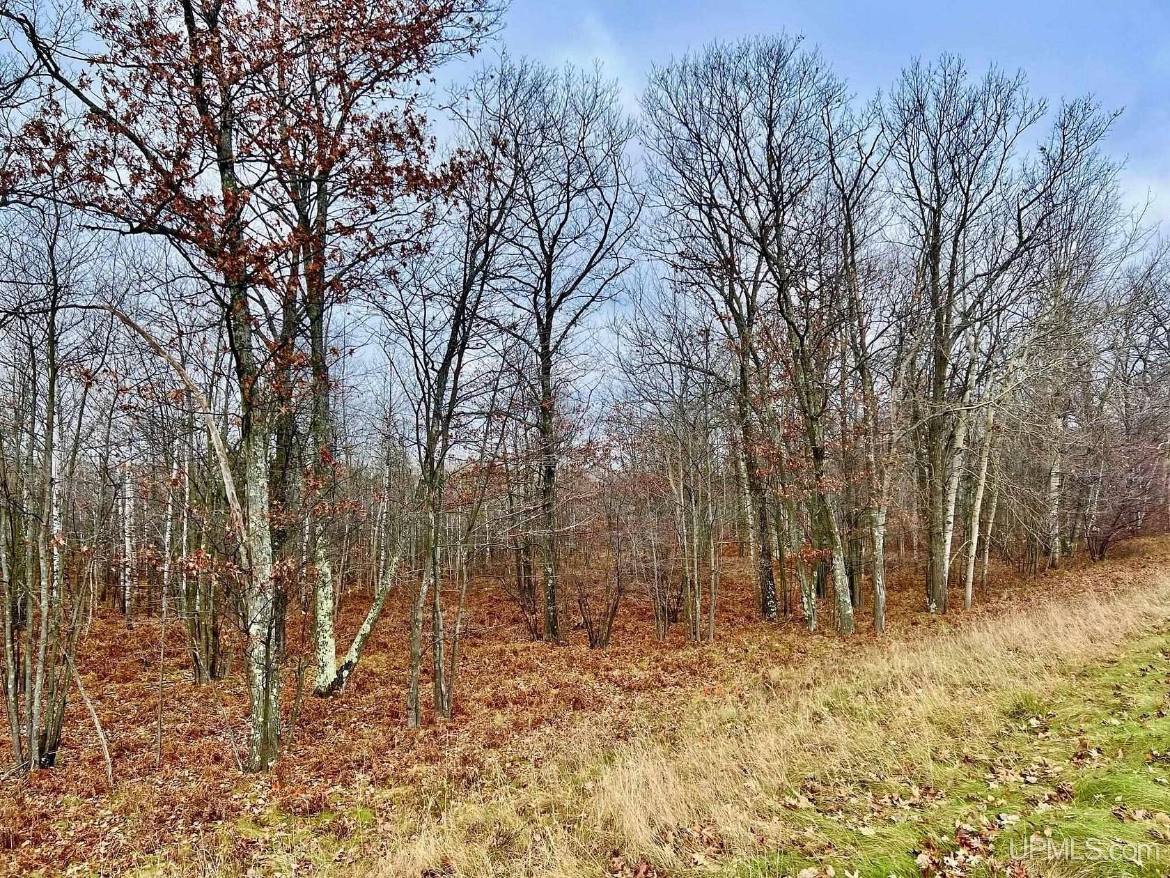 5.8 Acres of Residential Land for Sale in Iron Mountain, Michigan