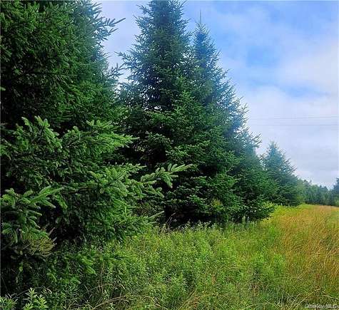 31.65 Acres of Land for Sale in Jeffersonville, New York