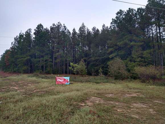 5 Acres of Commercial Land for Sale in Waynesboro, Georgia