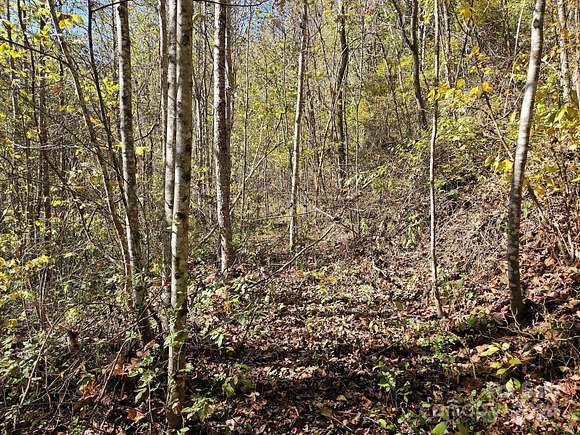 3.414 Acres of Land for Sale in Sylva, North Carolina