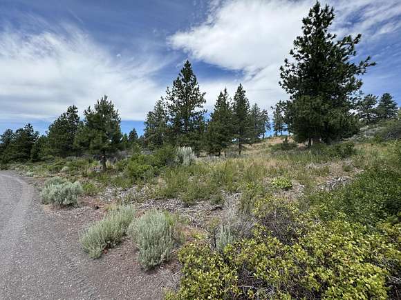 1 Acre of Residential Land for Sale in Chiloquin, Oregon