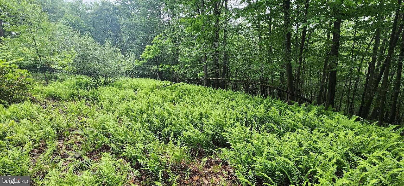 2.12 Acres of Residential Land for Sale in McHenry, Maryland