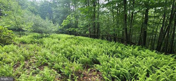 2.12 Acres of Residential Land for Sale in McHenry, Maryland