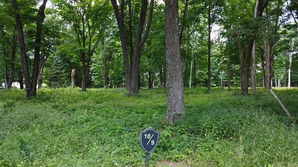 0.79 Acres of Residential Land for Sale in Antigo, Wisconsin