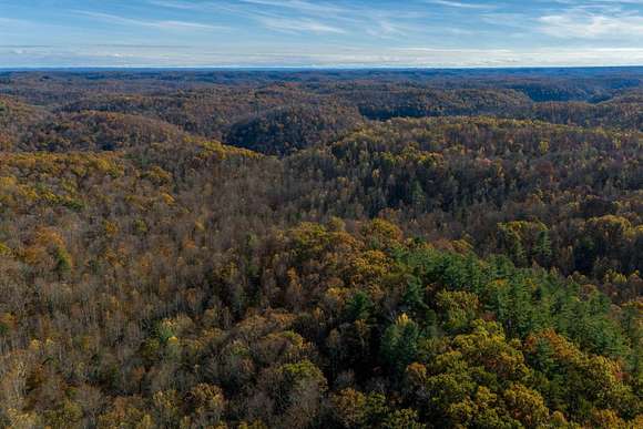 110 Acres of Land for Sale in Irvine, Kentucky