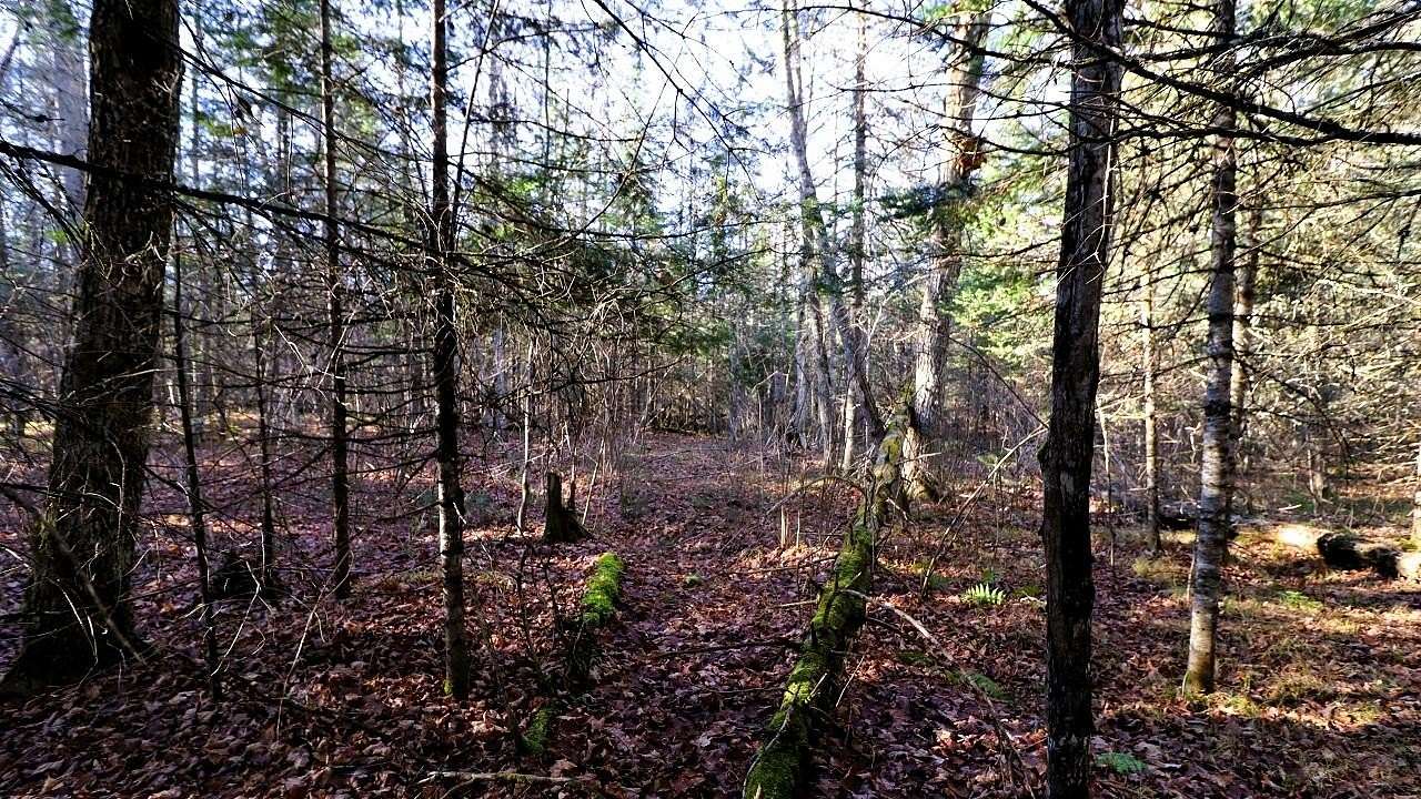 3.9 Acres of Residential Land for Sale in Oma Town, Wisconsin