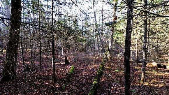 3.9 Acres of Residential Land for Sale in Oma Town, Wisconsin