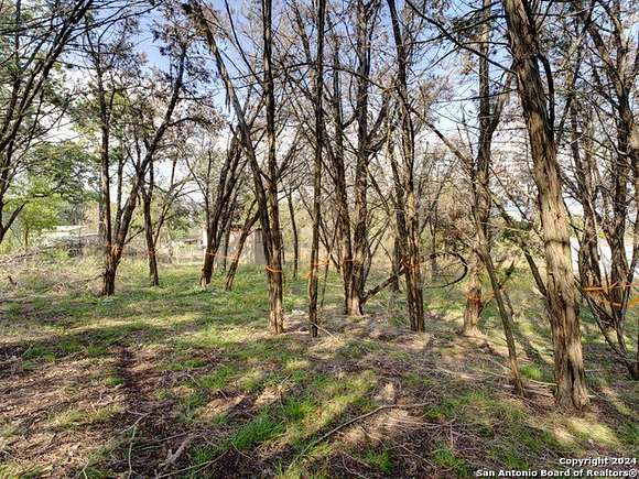 0.402 Acres of Residential Land for Sale in Spring Branch, Texas