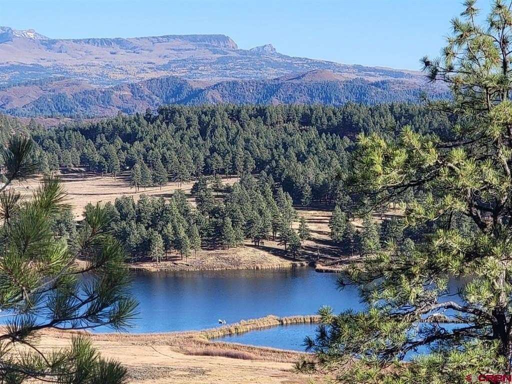 2.5 Acres of Residential Land for Sale in Pagosa Springs, Colorado