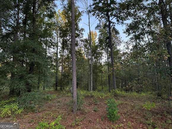 5 Acres of Residential Land for Sale in Dublin, Georgia