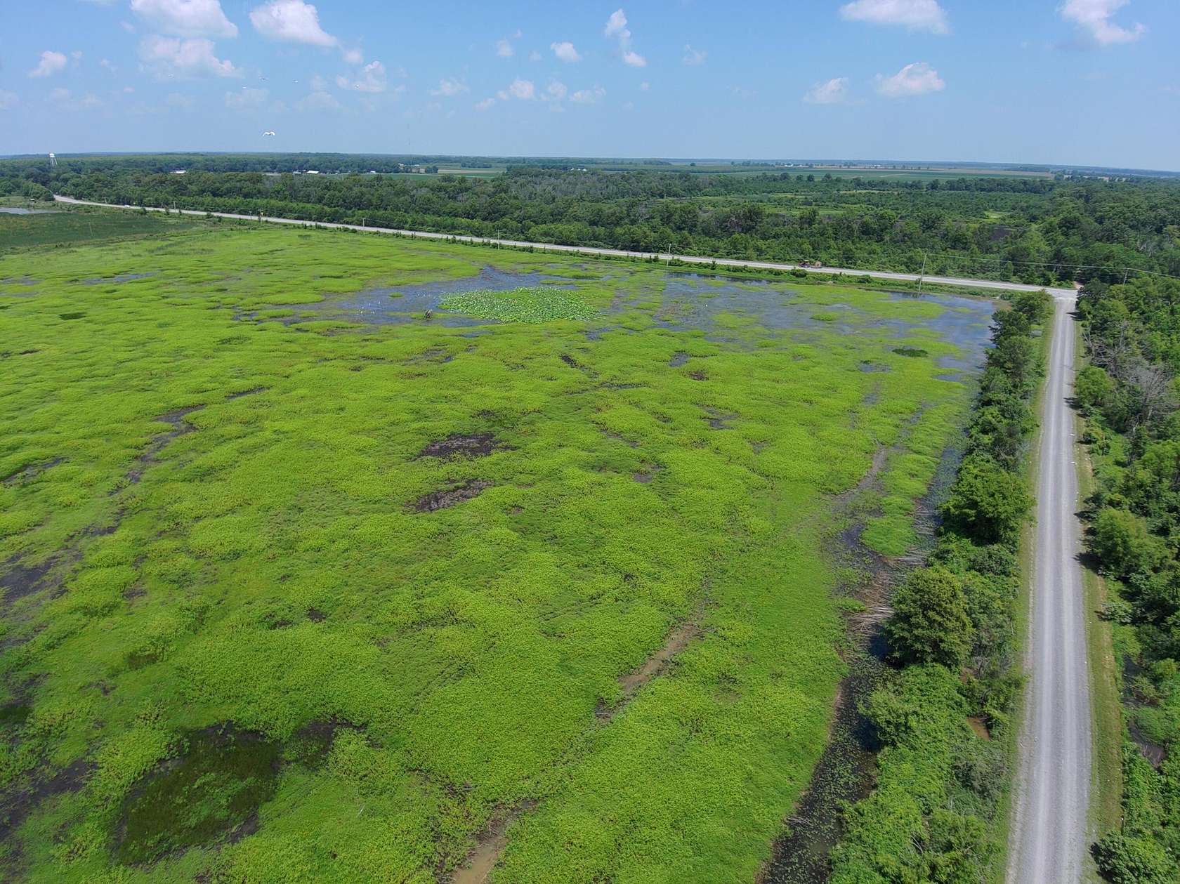 84 Acres of Recreational Land & Farm for Sale in Crooked Creek Township, Arkansas