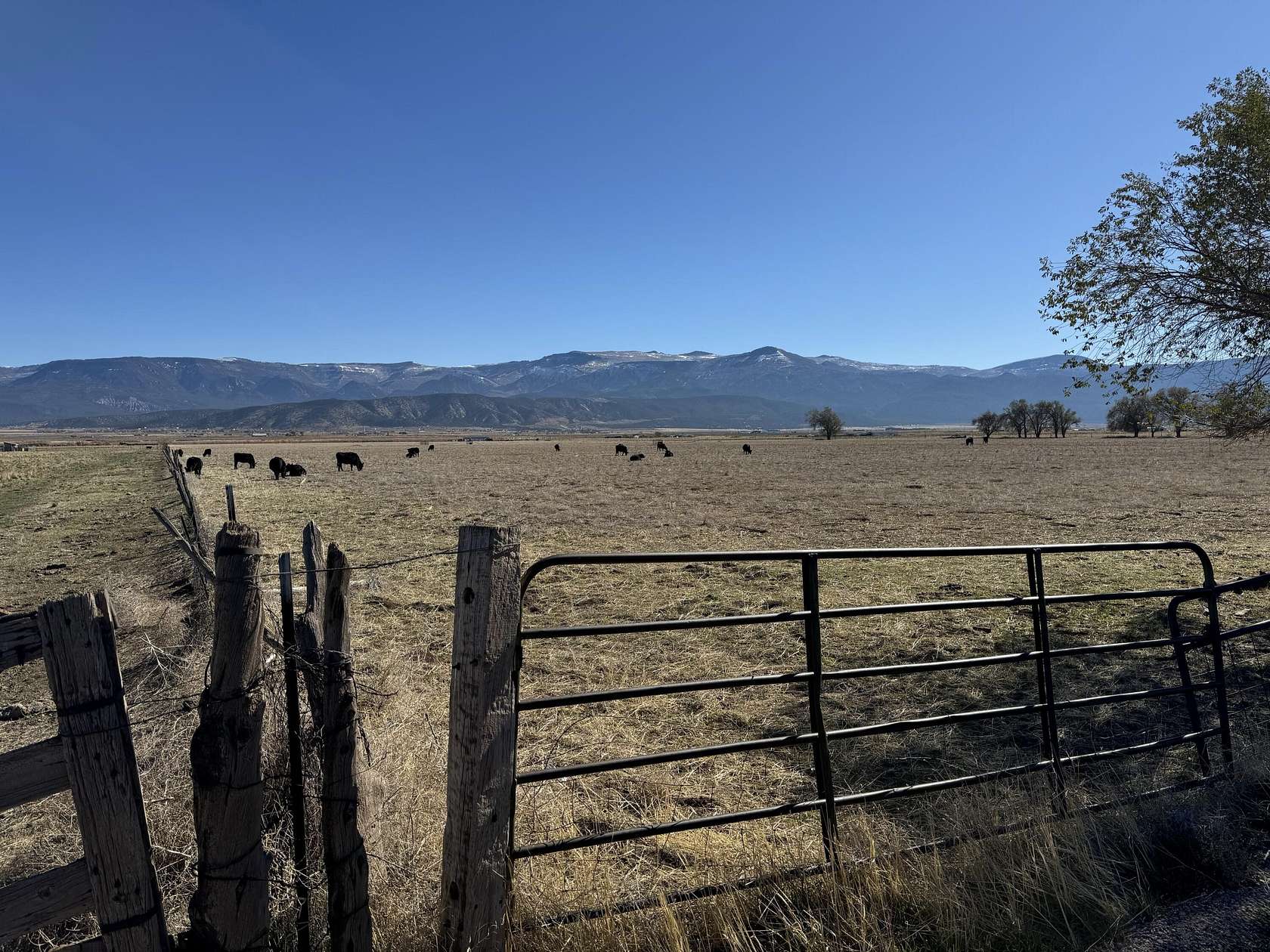 49.5 Acres of Land for Sale in Cedar City, Utah