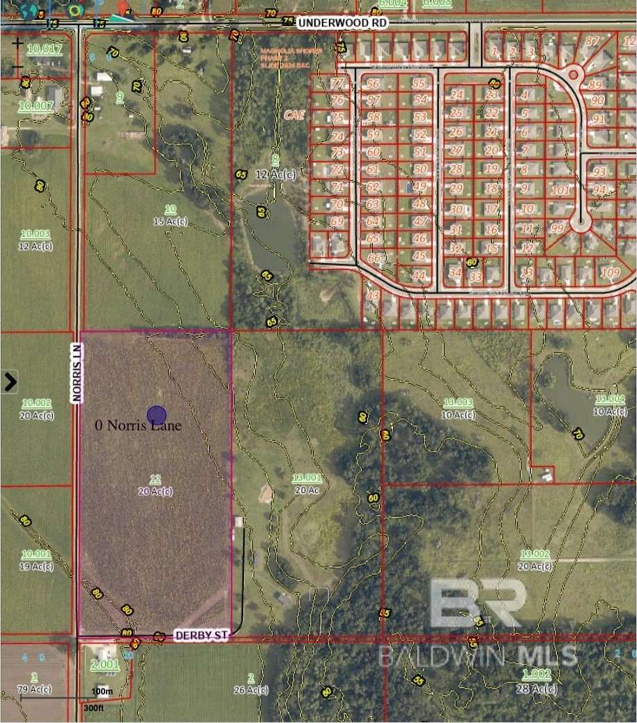 20.051 Acres of Land for Sale in Foley, Alabama