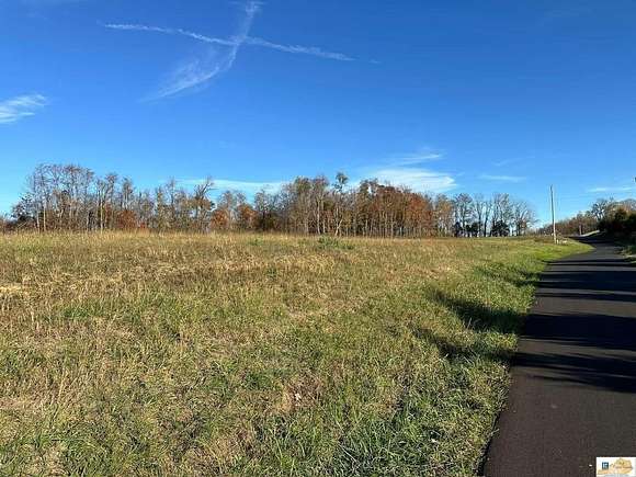 18 Acres of Agricultural Land for Sale in Greensburg, Kentucky