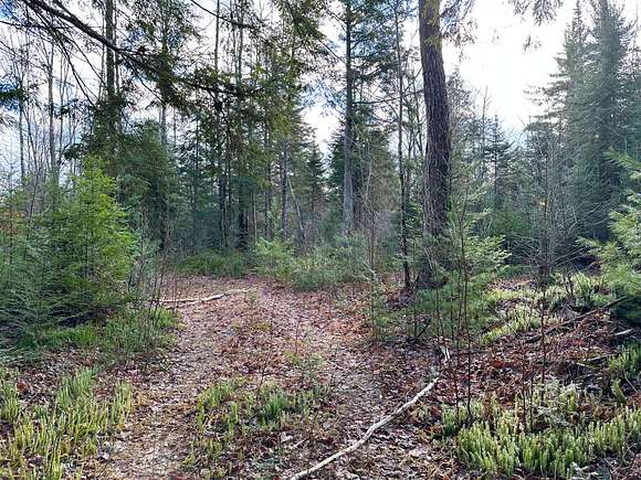 70 Acres of Recreational Land for Sale in Trout Lake, Michigan