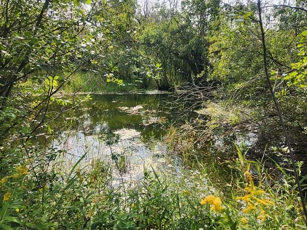 16.5 Acres of Land for Sale in Appleton, Wisconsin