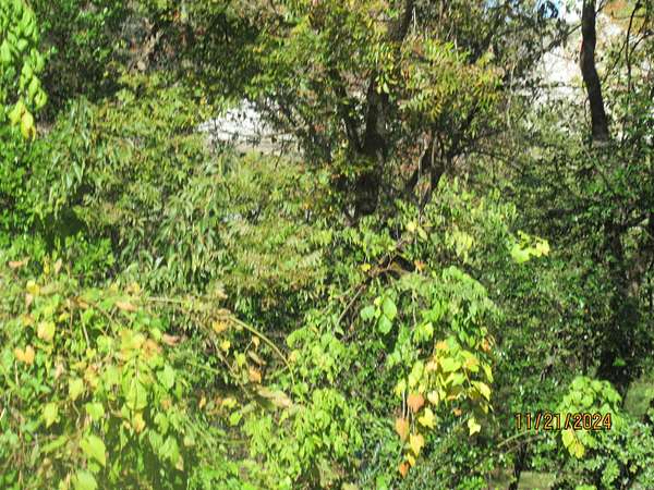 1.55 Acres of Mixed-Use Land for Sale in Maumelle, Arkansas