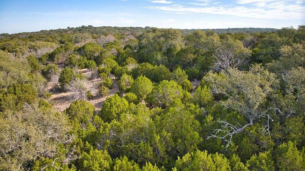 108 Acres of Recreational Land & Farm for Sale in Cherokee, Texas