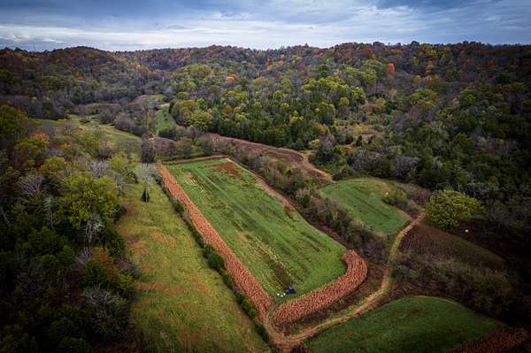 276 Acres of Recreational Land for Sale in Pulaski, Tennessee