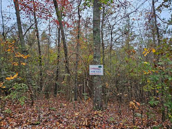 3.2 Acres of Land for Sale in Gaylesville, Alabama