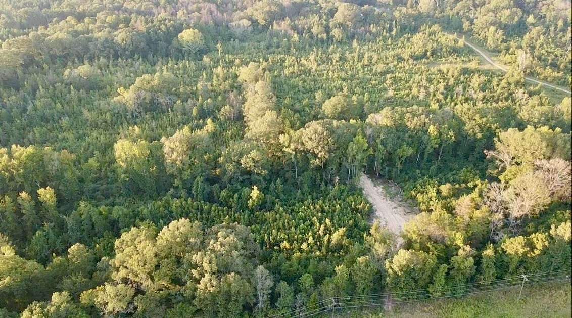 100 Acres of Land for Sale in Raymond, Mississippi