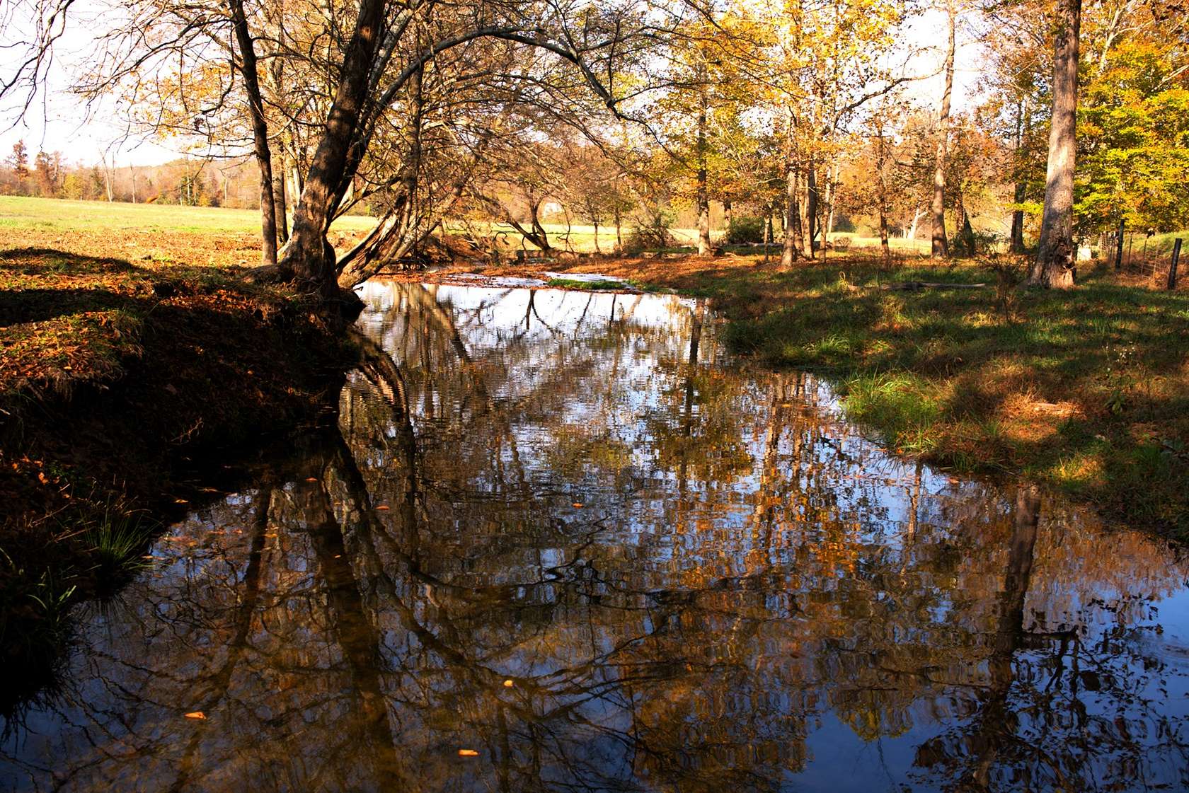 1,066 Acres of Land with Home for Sale in Lawrenceburg, Tennessee