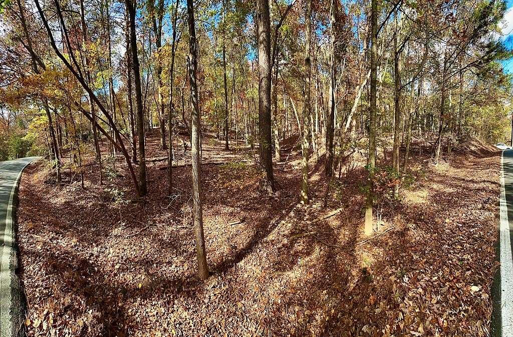 0.789 Acres of Land for Sale in Ellijay, Georgia