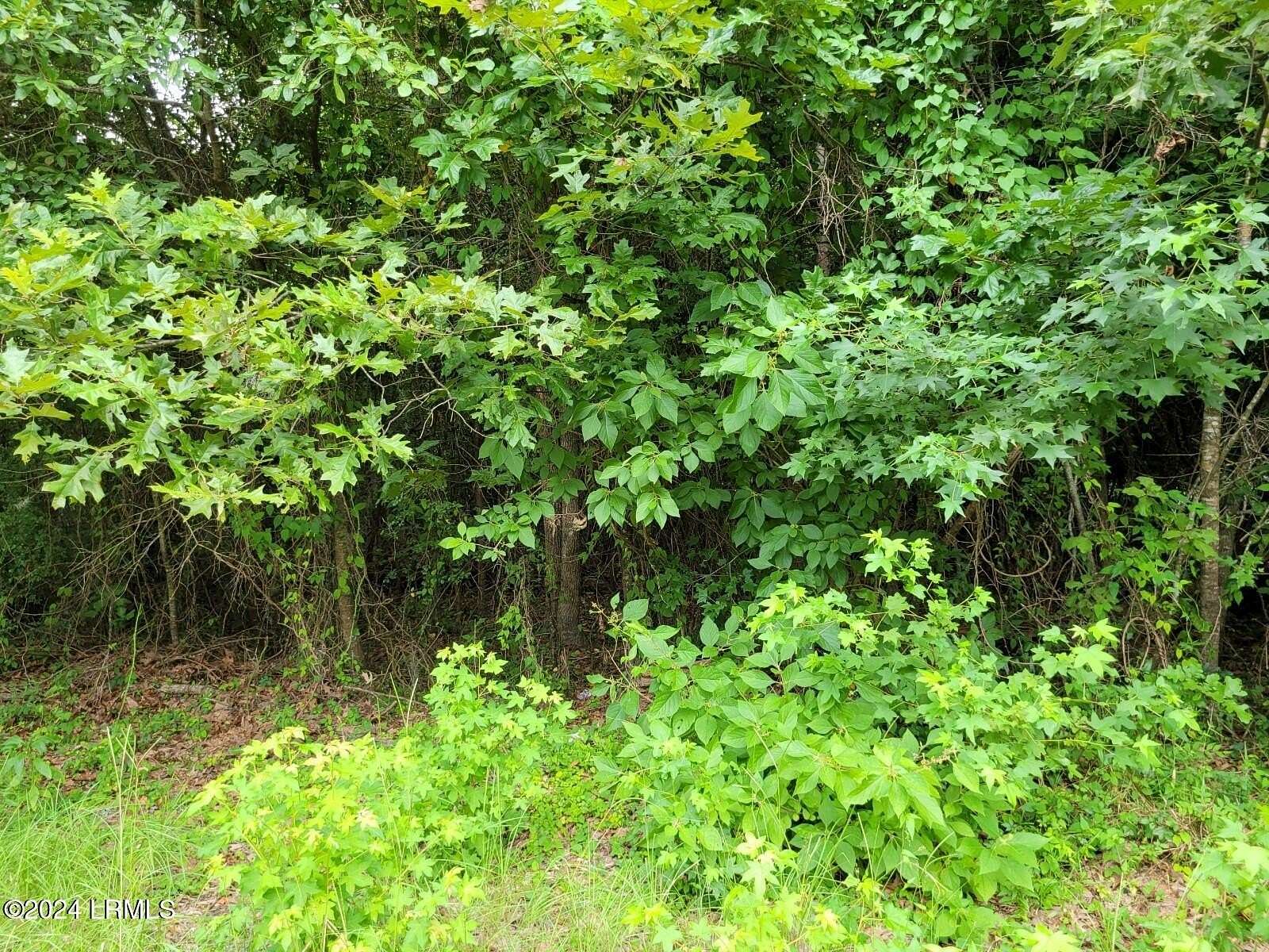 1.47 Acres of Residential Land for Sale in Hardeeville, South Carolina