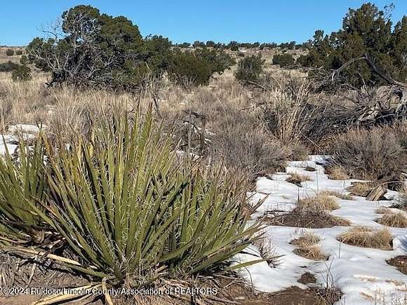 20 Acres of Land for Sale in Ancho, New Mexico