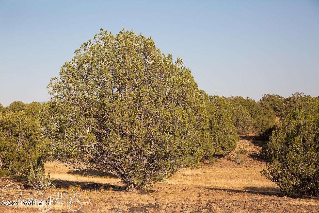 40 Acres of Land for Sale in Ash Fork, Arizona