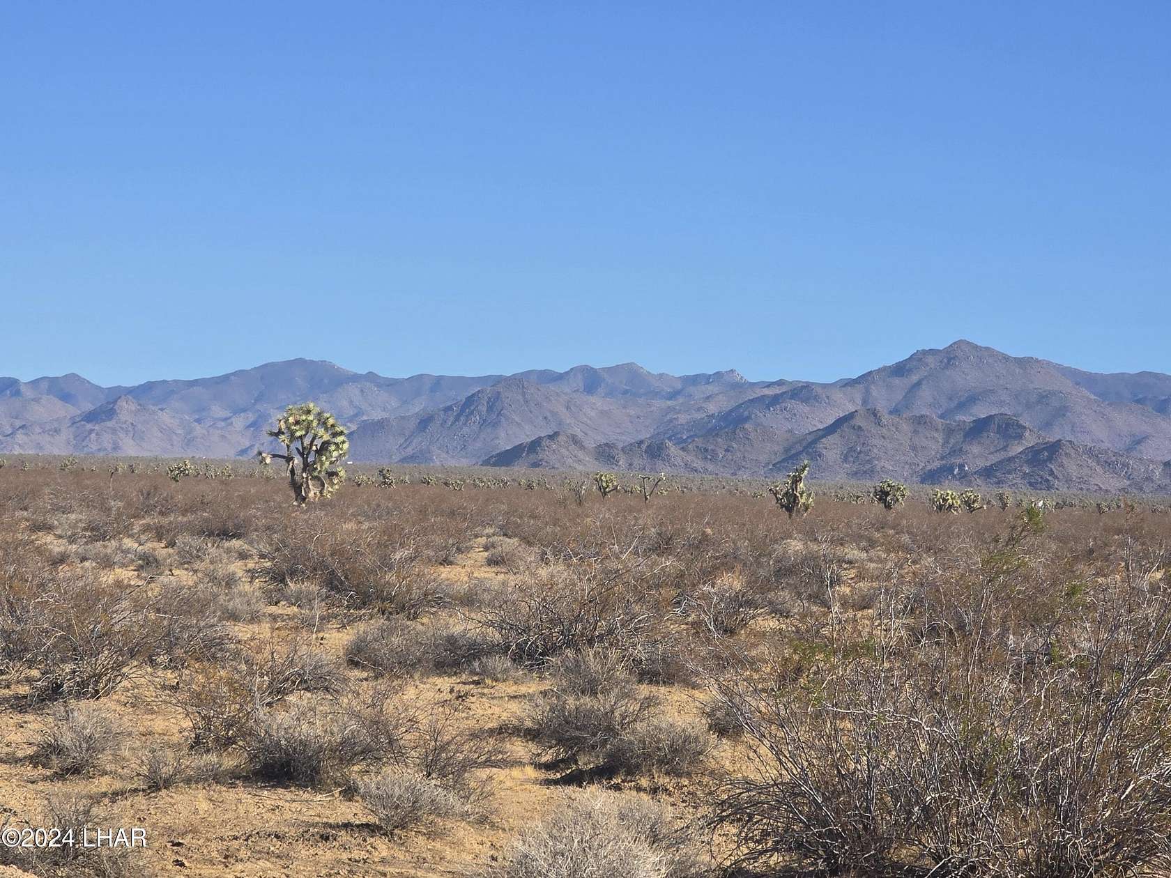 40.12 Acres of Land for Sale in Yucca, Arizona