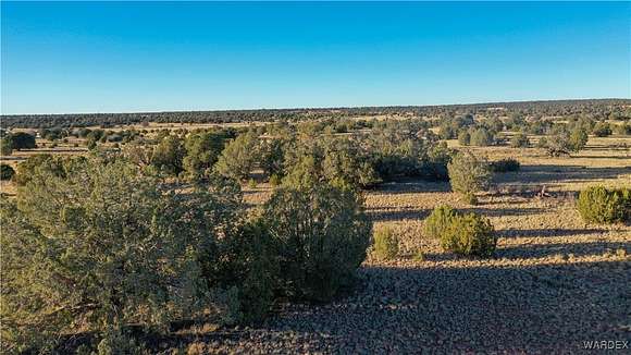 40 Acres of Land for Sale in Seligman, Arizona