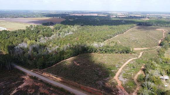 85 Acres of Recreational Land & Farm for Sale in Haleburg, Alabama