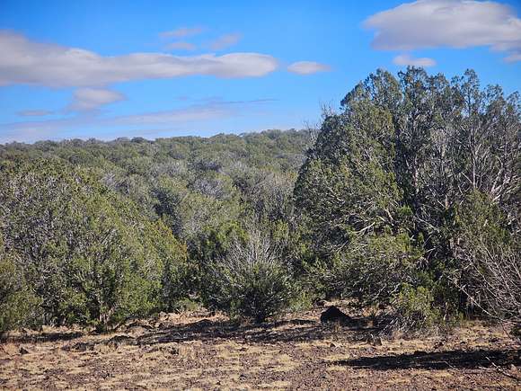 37.77 Acres of Recreational Land & Farm for Sale in Williams, Arizona