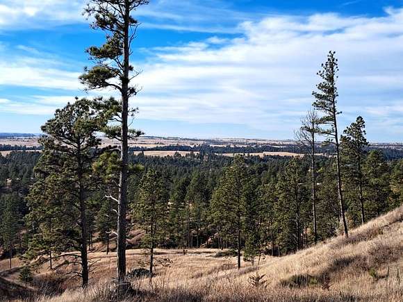 30.93 Acres of Land for Sale in Chadron, Nebraska