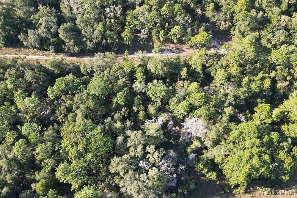 0.85 Acres of Land for Sale in Dunnellon, Florida