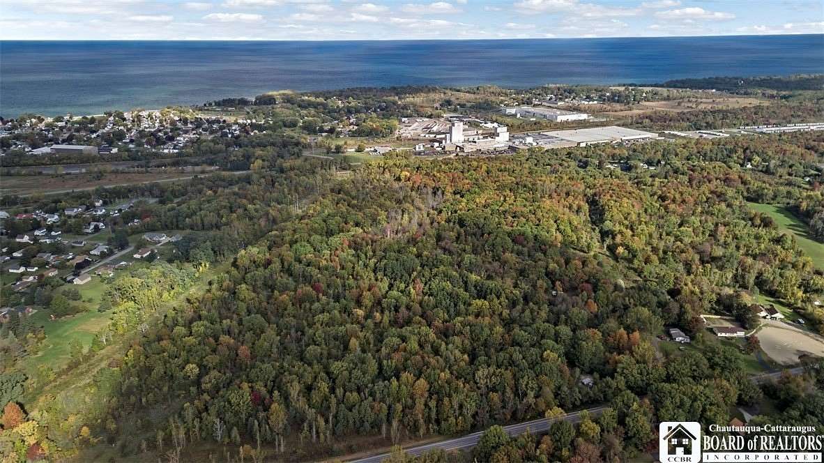 59.22 Acres of Land for Sale in Dunkirk Town, New York