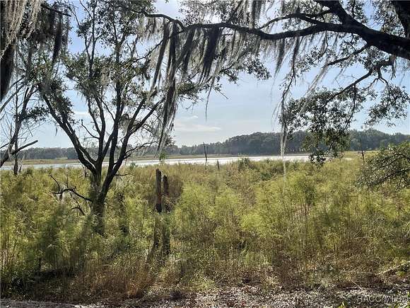 0.28 Acres of Residential Land for Sale in Dunnellon, Florida