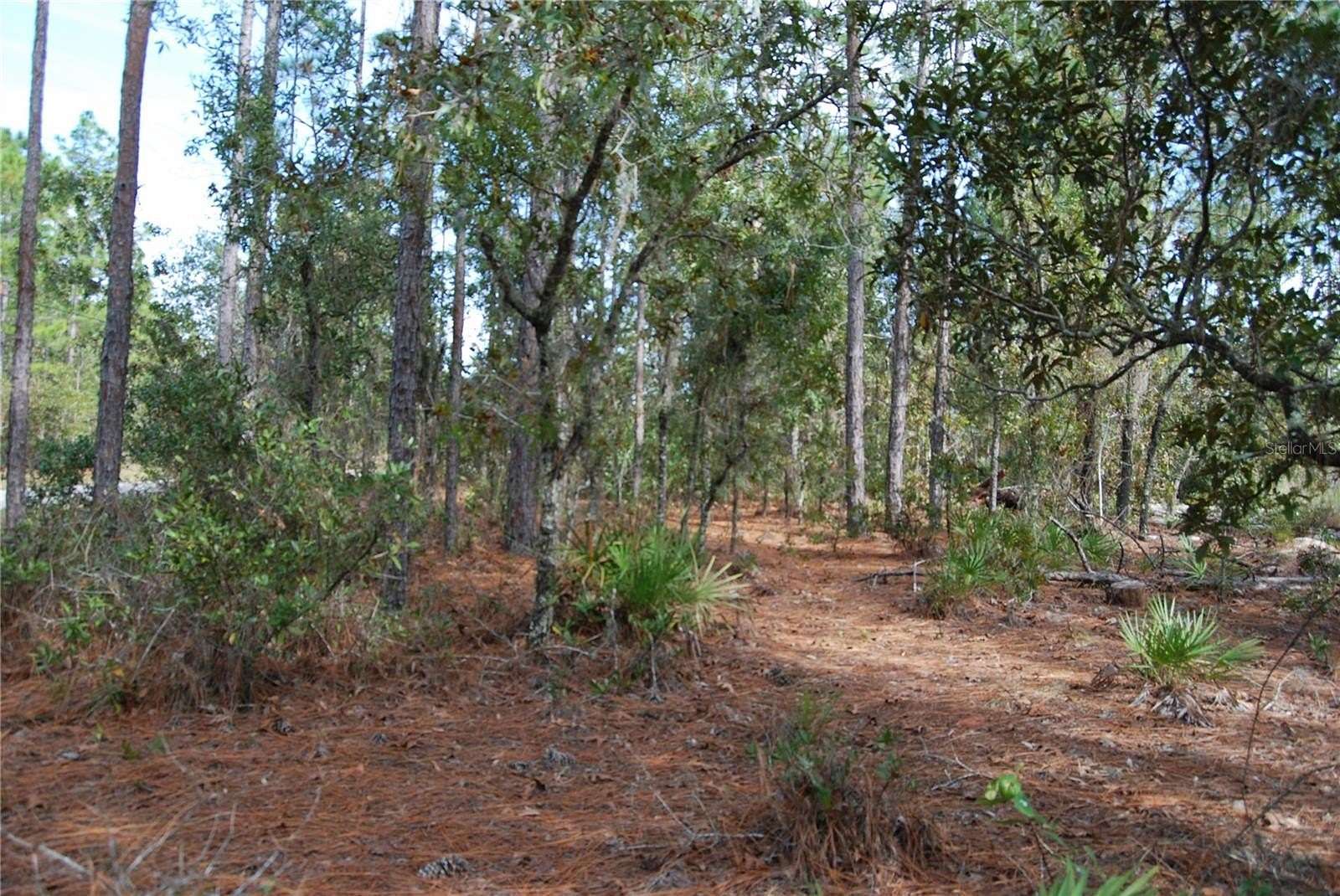 0.23 Acres of Residential Land for Sale in Ocala, Florida