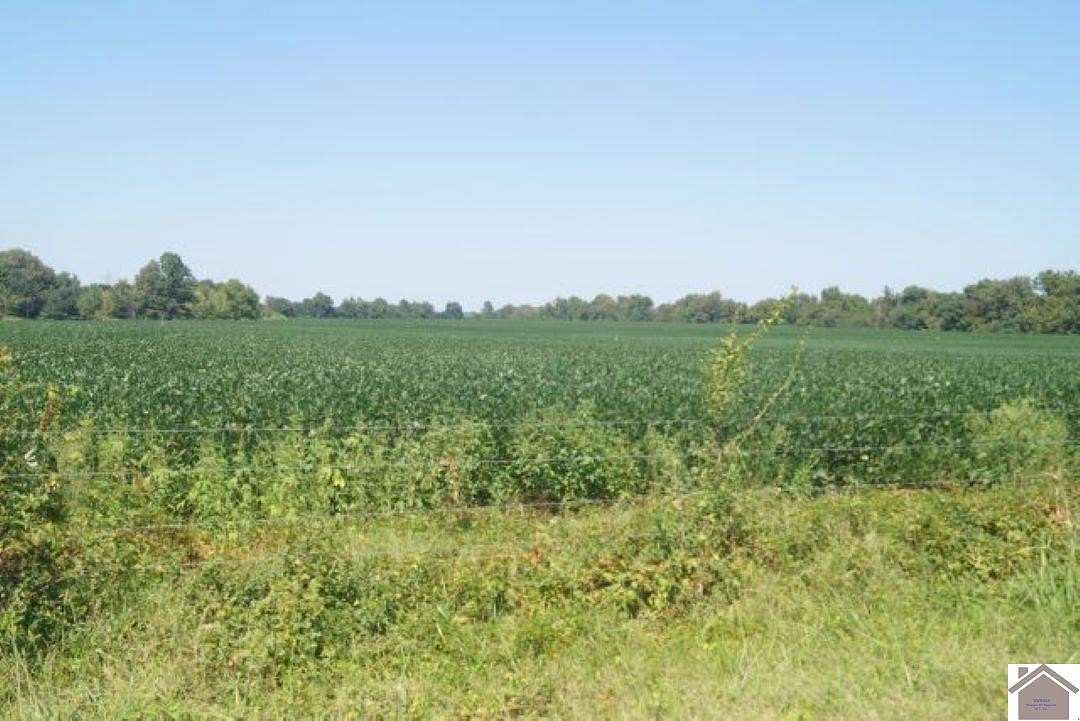 112 Acres of Agricultural Land for Sale in Fulton, Kentucky