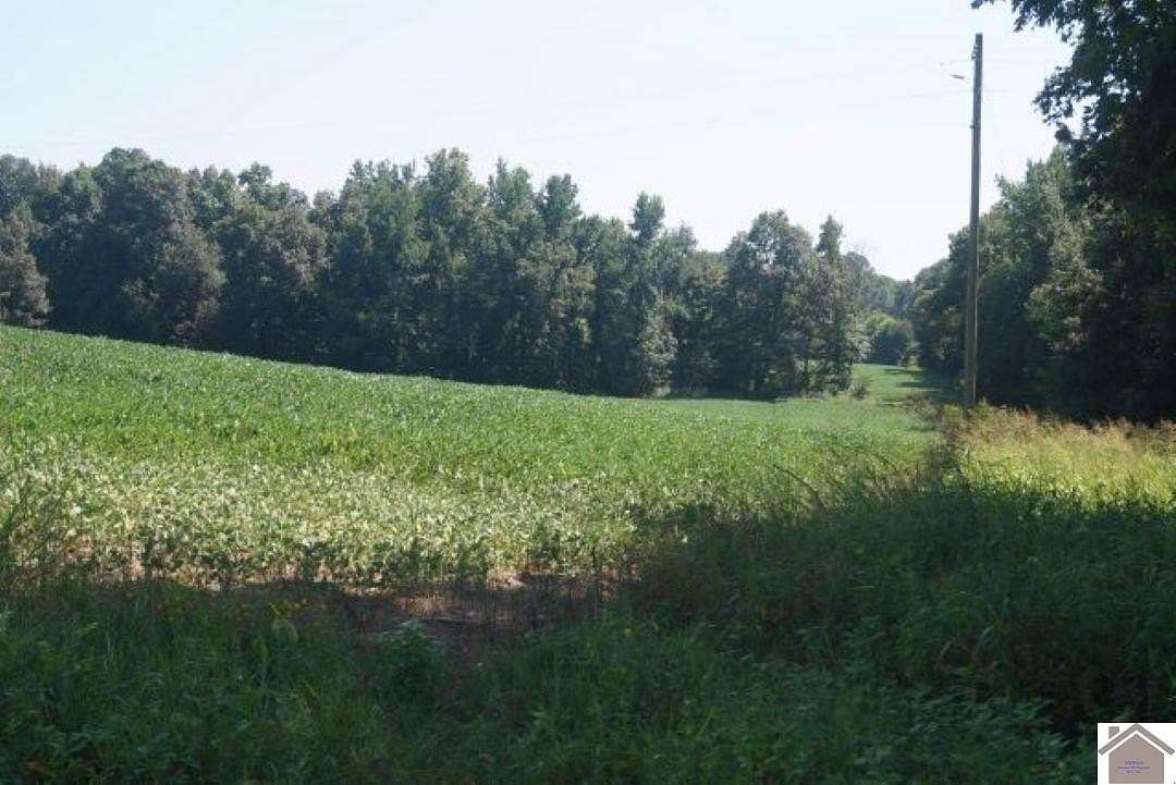 63 Acres of Agricultural Land with Home for Sale in Fulton, Kentucky