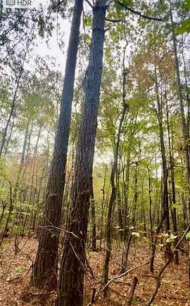 40 Acres of Land for Sale in New Site, Alabama