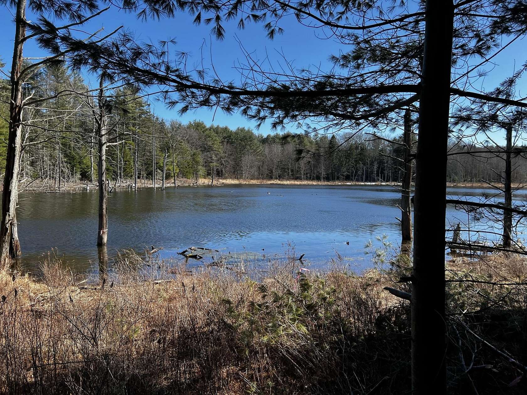 29 Acres of Recreational Land for Sale in Boothbay, Maine